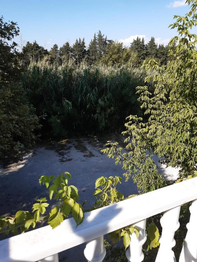 Au Pays Du Ventoux Bed & Breakfast Le Thor Luaran gambar