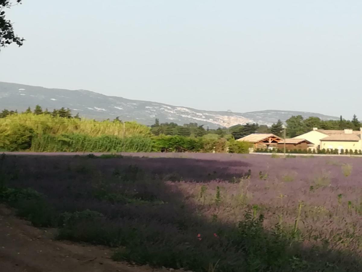 Au Pays Du Ventoux Bed & Breakfast Le Thor Luaran gambar