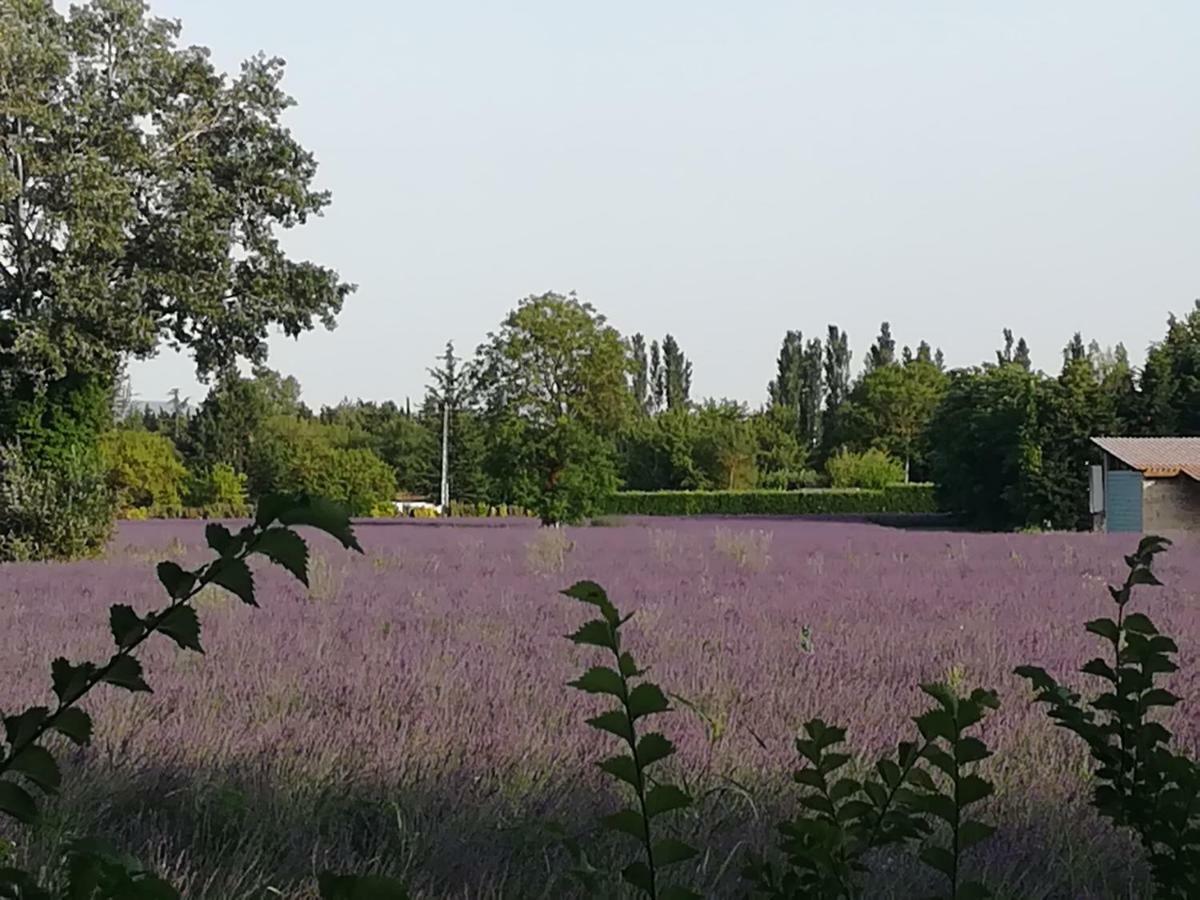 Au Pays Du Ventoux Bed & Breakfast Le Thor Luaran gambar