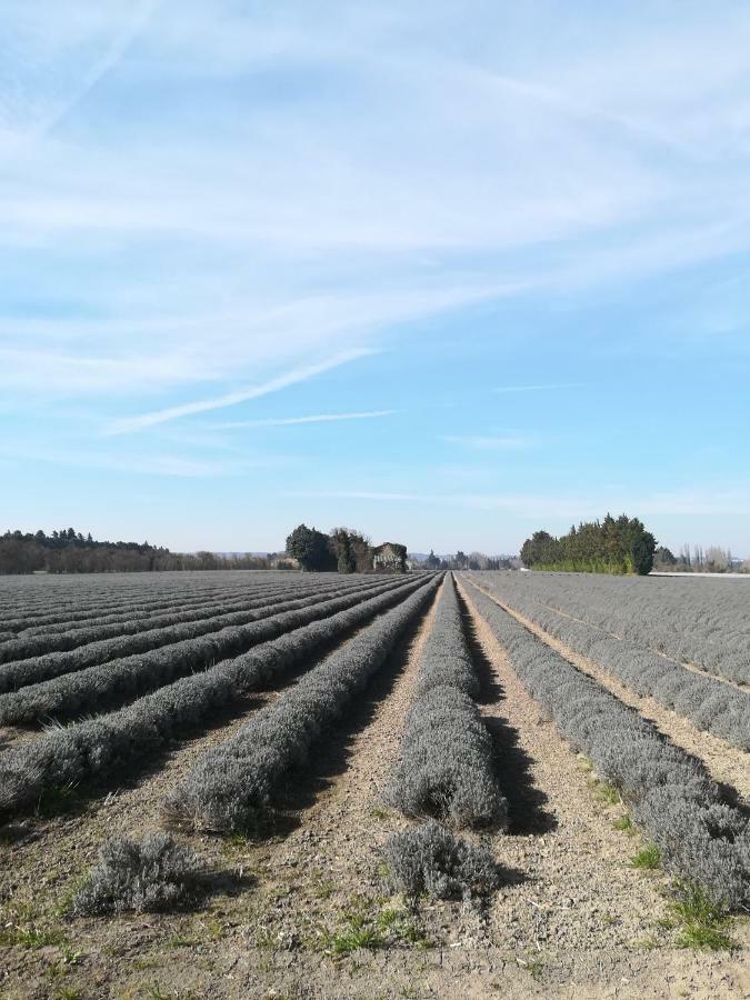 Au Pays Du Ventoux Bed & Breakfast Le Thor Luaran gambar
